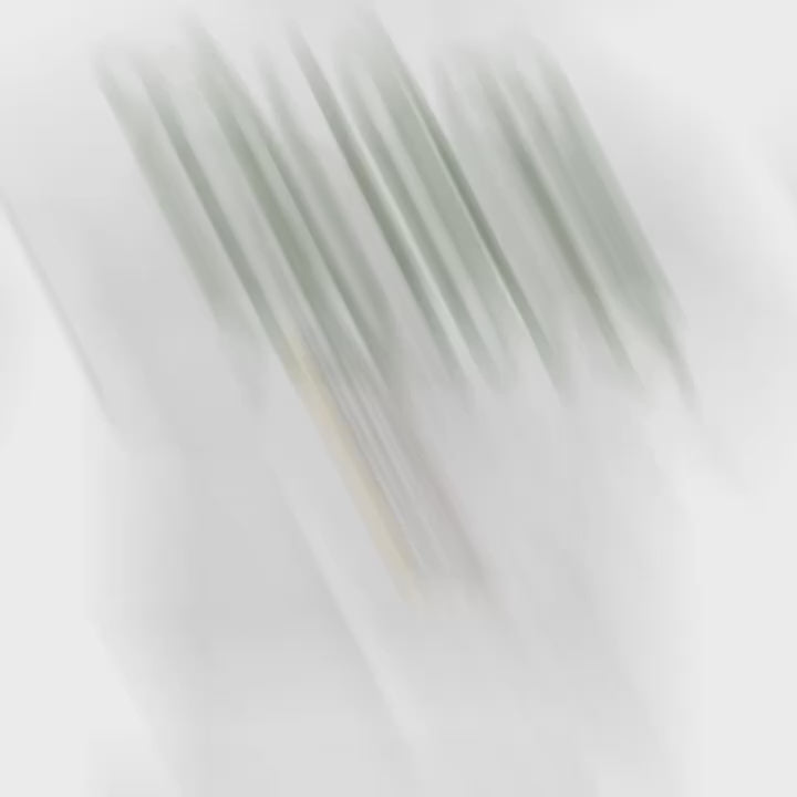 Colaboración ibeyis queens & Revólver cannabis